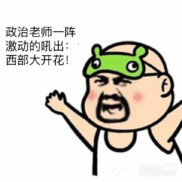 那些年老师的口音搞微信笑表情包