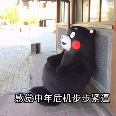 中年危机熊本熊系列微信表情包合集下载