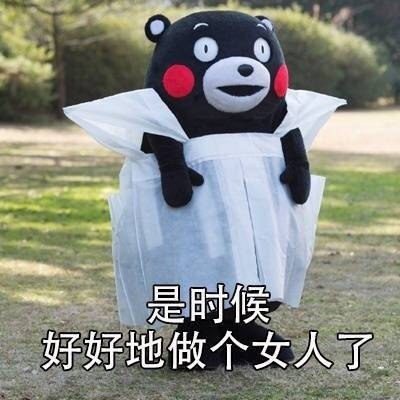 精致女孩熊本熊系列微信恶搞表情包为您奉上,喜欢的朋友快下载使用