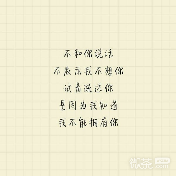 直到变得无意义,我还没能把你忘记微信伤感文字朋友圈