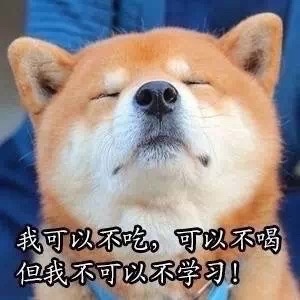 柴犬动态微信表情欣赏