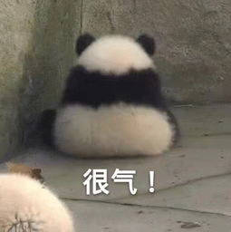 可爱搞笑熊猫微信表情包