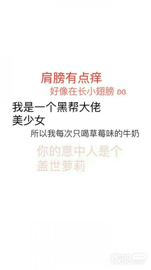 美好的一天从学习开始微信文字聊天背景