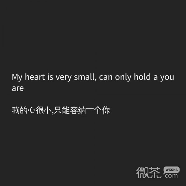 Ȧͼ˸