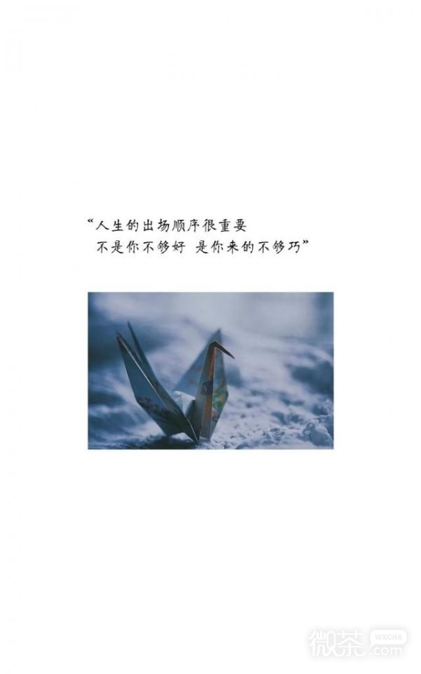 微信唯美清新文字配图