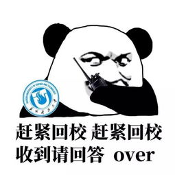 收到请回答over微信表情包