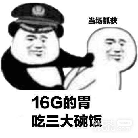 当场抓获微信恶搞表情包