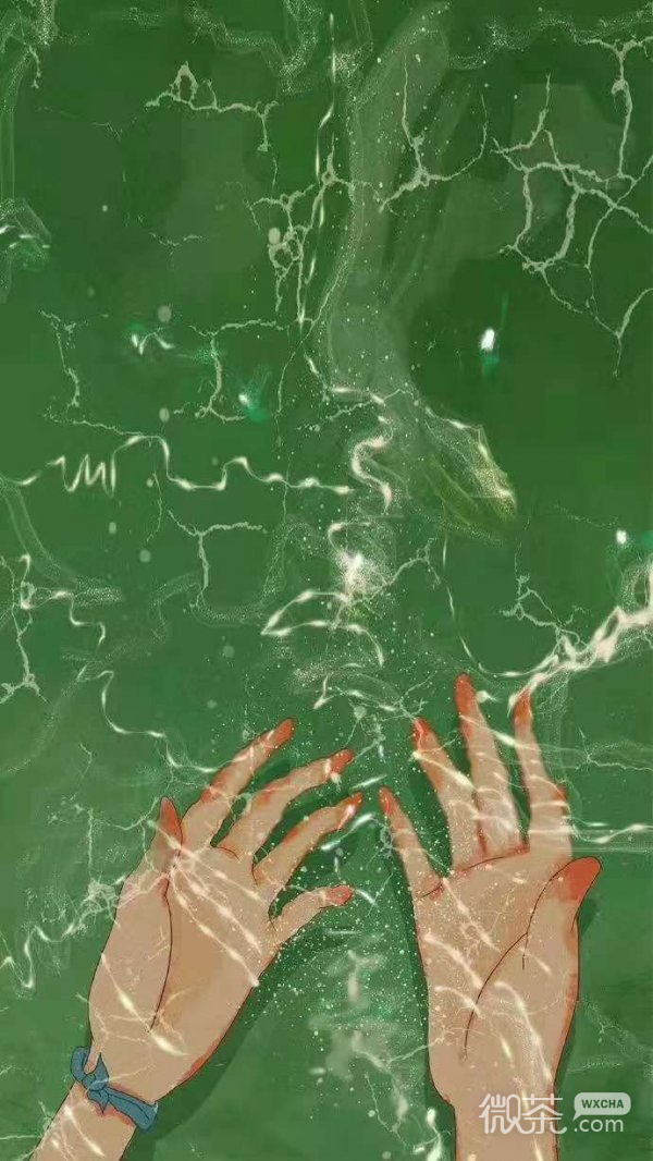 微信唯美绿色护眼聊天背景