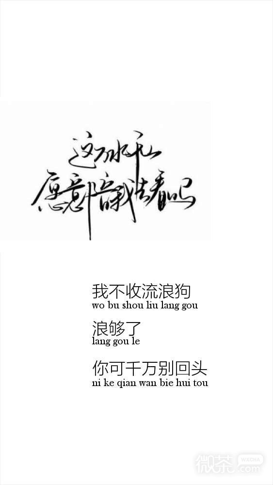 微信个性非主流文字表情包