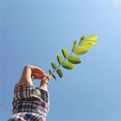 微信最新时尚好看情侣头像_唯美配图_微茶网