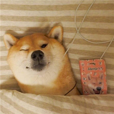 ոֲȮȦͼ