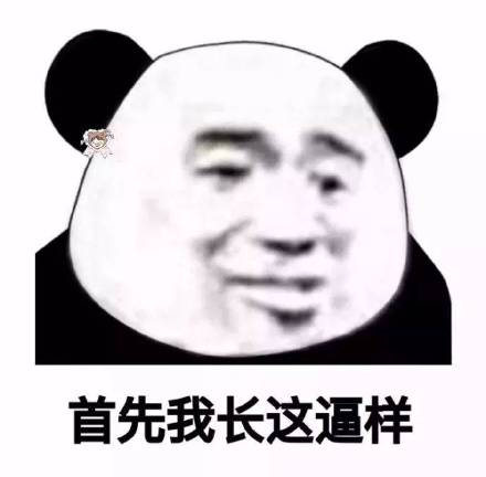如果熊猫头学会p图.微信恶搞表情包