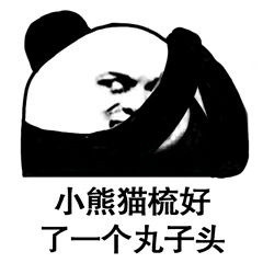 你正常点微信熊猫头恶搞斗图表情包