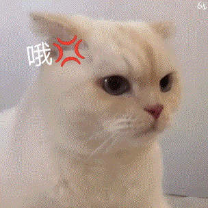 你怎么回事微信恶搞逗比表情包