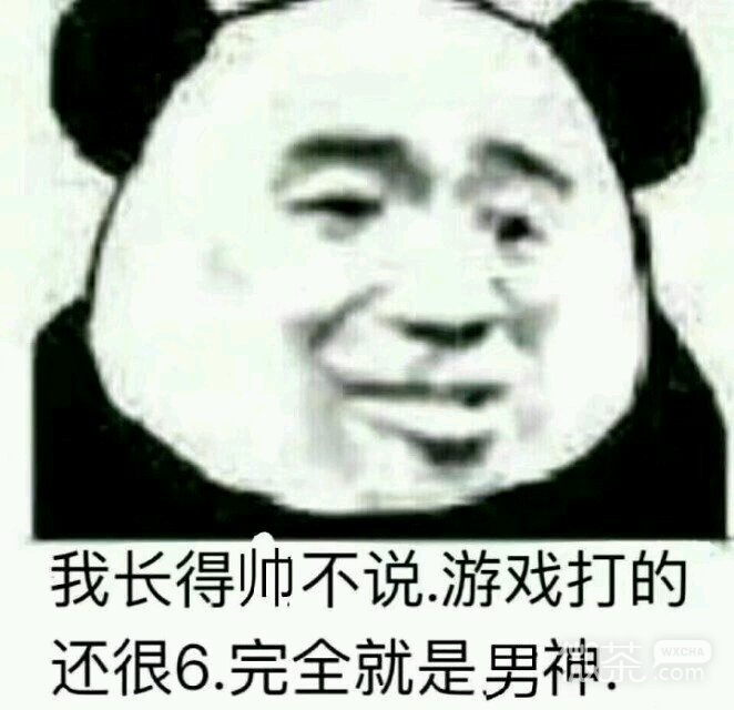 搞笑熊猫头斗图微信表情包