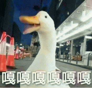 白色鸭子恶搞微信表情包