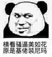 微信笑死人熊猫头斗图表情包