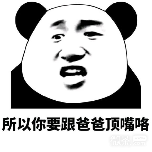 微信恶搞搞怪骚气熊猫头斗图表情包