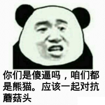 微信可爱个性搞怪熊猫头斗图表情包