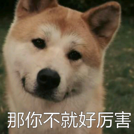 微信傻屌搞怪柴犬表情包