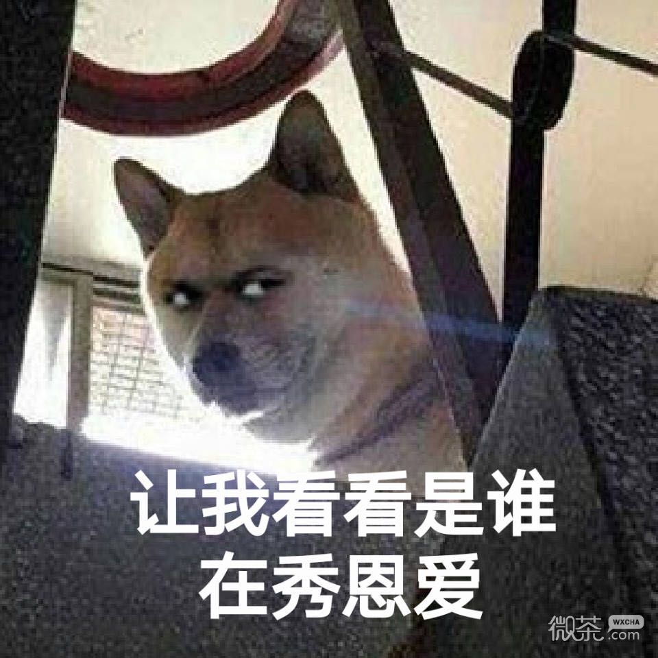 微信幽默群聊恶搞斗图表情包