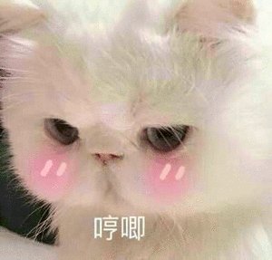 沙雕网友微信恶搞斗图表情包