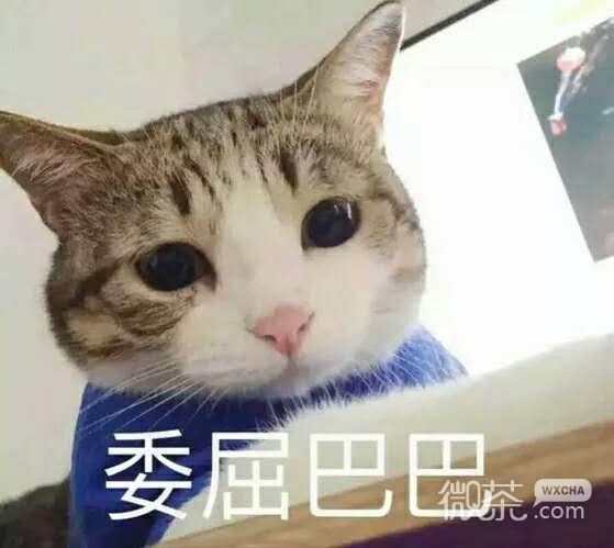微信逗比搞怪可爱傻屌斗图表情包