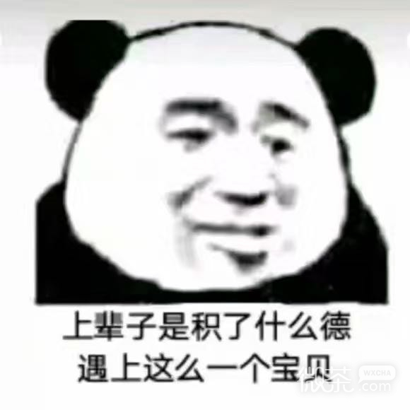 太虚伪了微信恶搞熊猫头斗图表情包