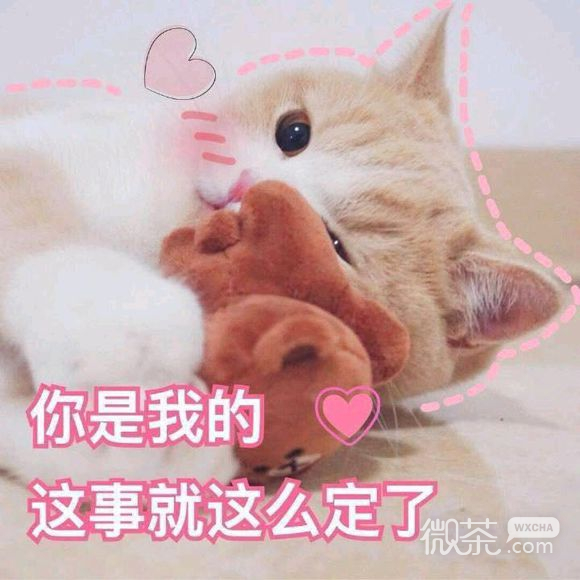 嘿嘿嘿微信傻屌斗图表情包