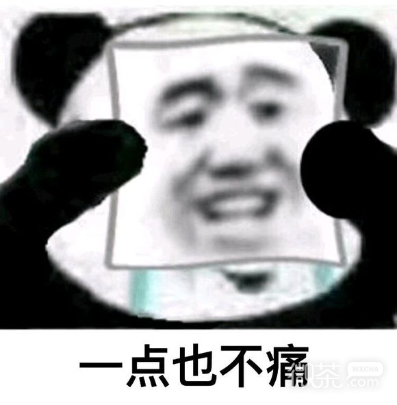 首页 微信表情 搞笑表情  请你自重微信恶搞傻屌斗图表情包为您奉上