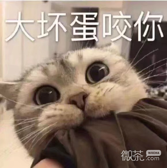 可爱搞怪的金馆长我好想你微信表情包下载