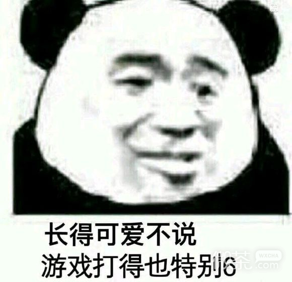 微信搞怪污傻屌熊猫头斗图表情包