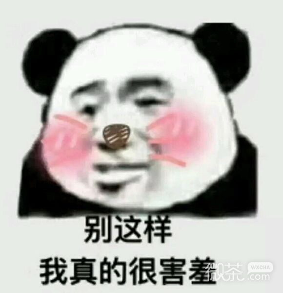 微信恶搞熊猫头斗图表情包