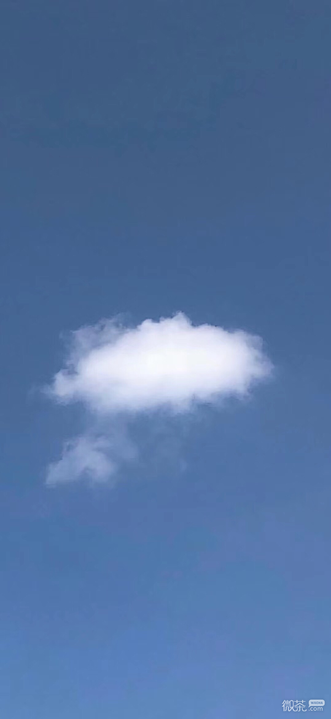 好看个性迷彩手机壁纸