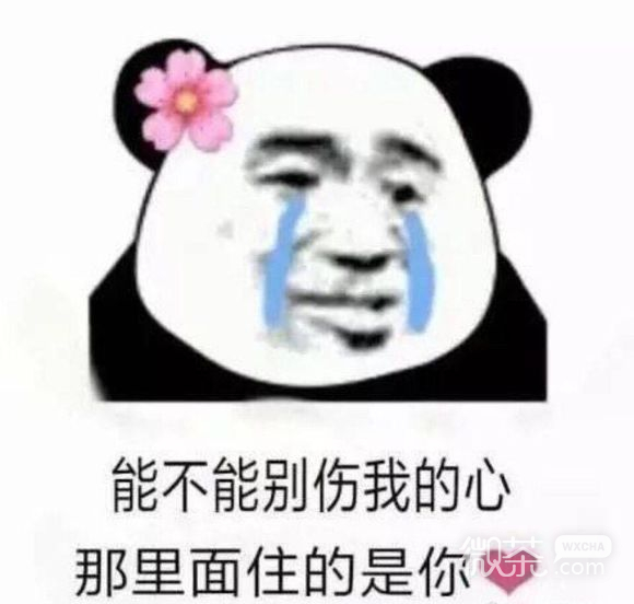 一脸傻笑微信恶搞群聊杂图表情包