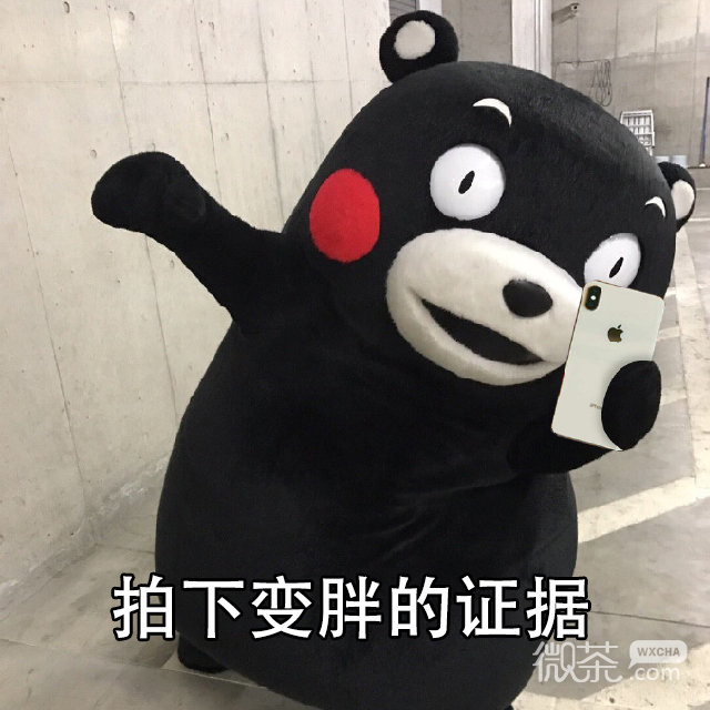 萌萌哒的熊本熊系列微信表情包合集下载