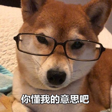 微信最新土味情话柴犬表情包下载_微信表情_微茶网