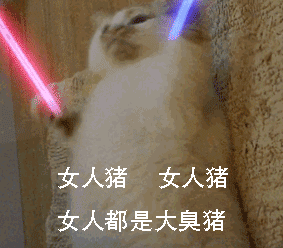 抖音爆火的猫拿荧光棒微信版表情包下载