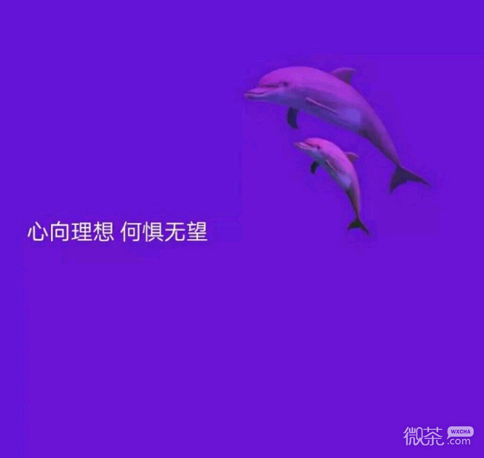 别来无恙微信文字朋友圈配图
