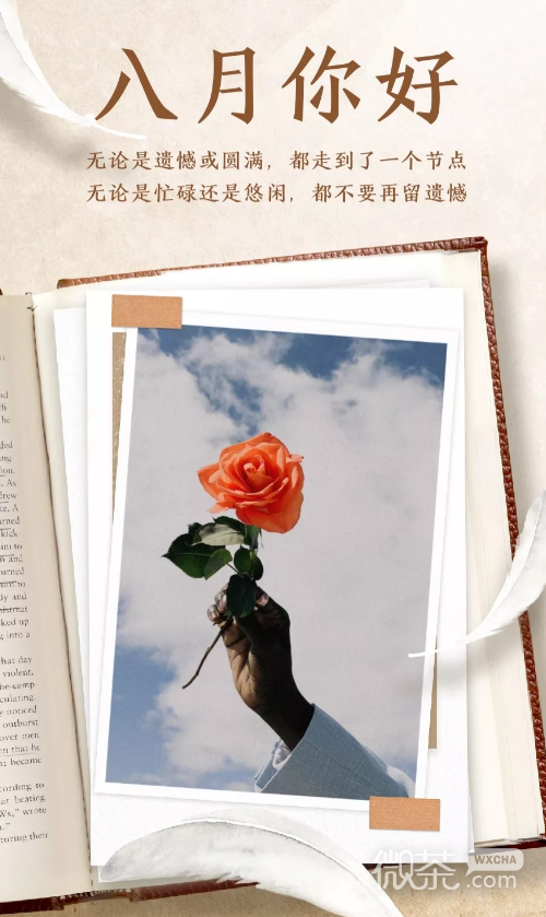 唯美个性的微信你好八月文字图片下载