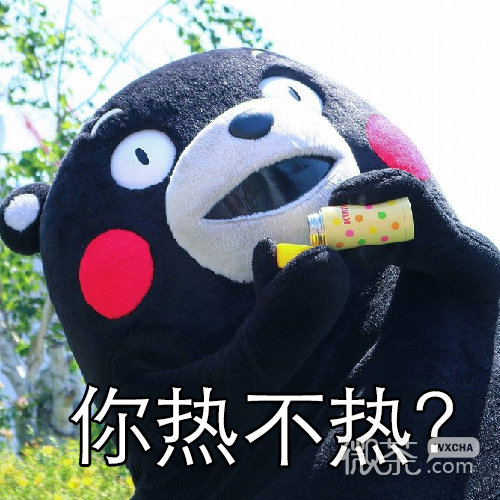 心静自然凉系列微信夏日熊本熊表情包下载