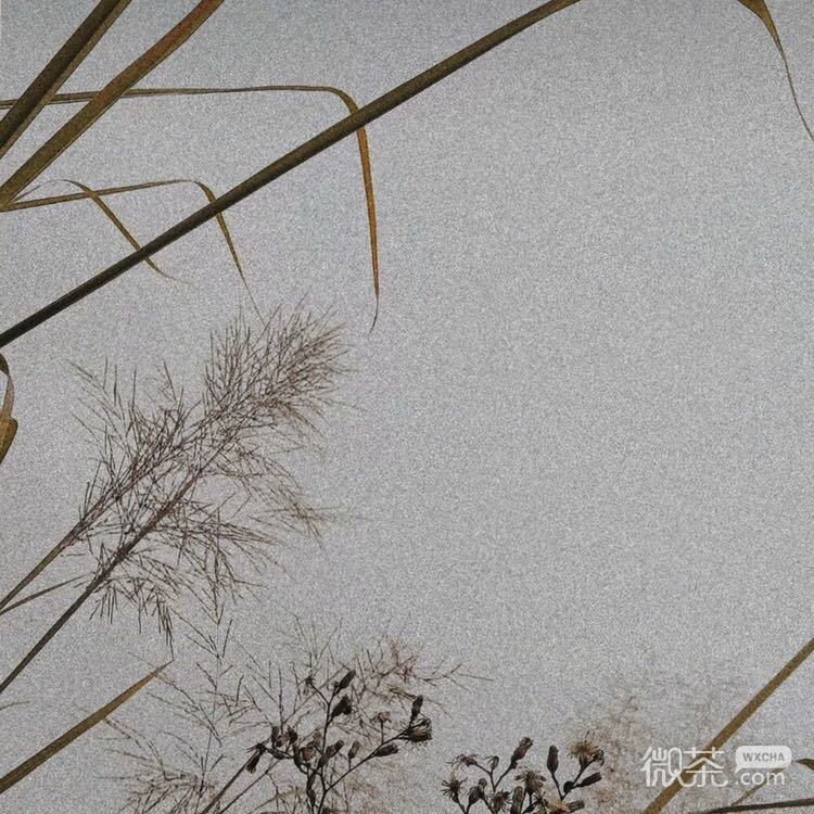 微信寂寞孤独朋友圈配图