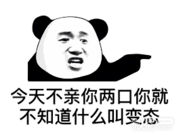 搞笑逗比的微信熊猫头表情包合集下载_微信表情_微茶网