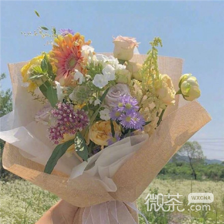 教师节鲜花系列微信图片合集下载