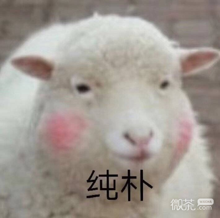关于小羊的微信恶搞表情包合集下载
