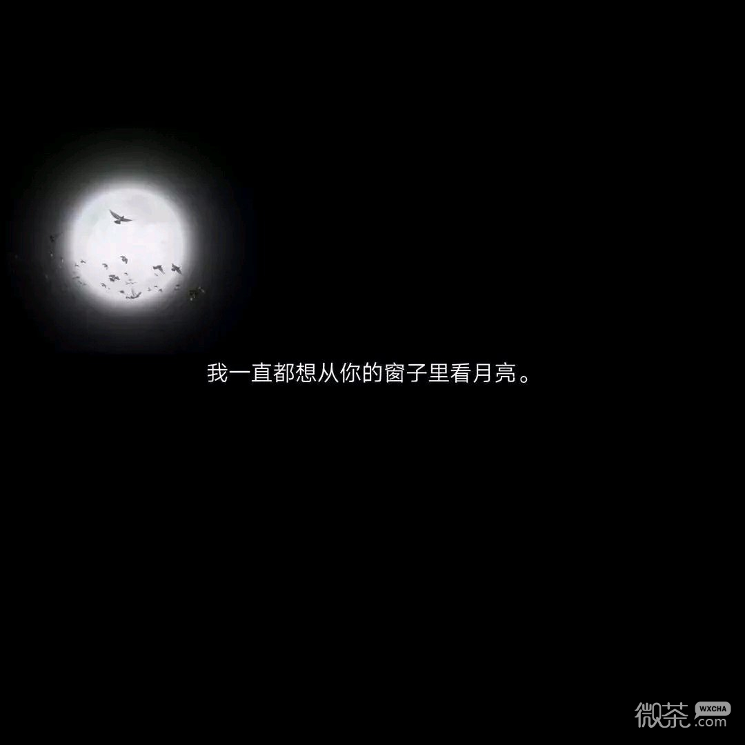 寂寞伤感微信朋友圈配图