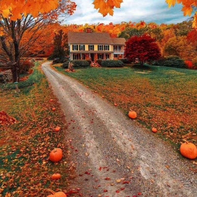唯美意境的微信秋天风景头像