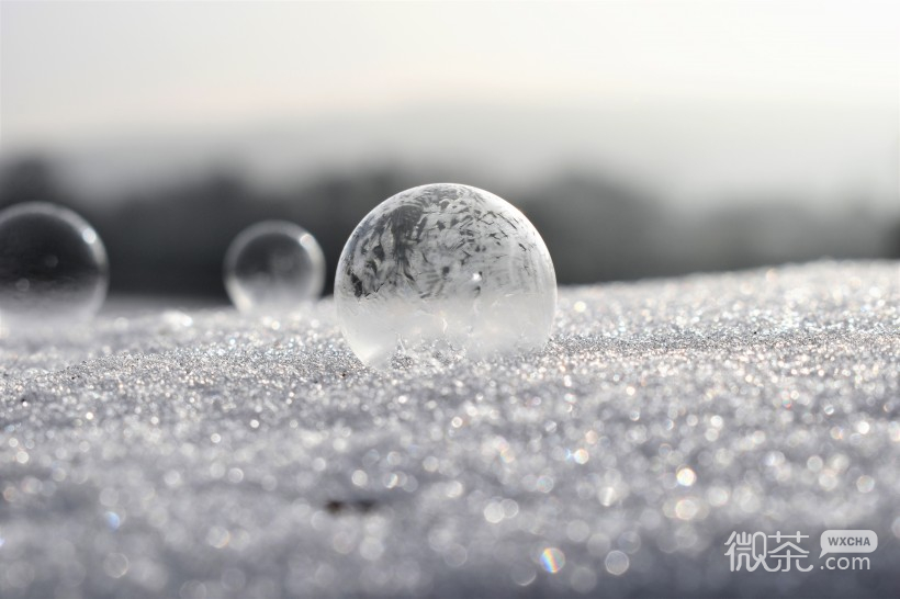 阳光下的冰冻泡泡微信唯美摄影图片
