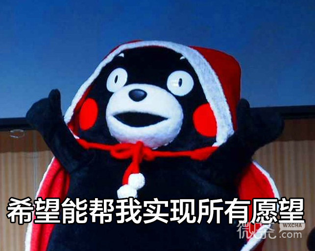 熊本熊的圣诞愿望微信恶搞带字表情包