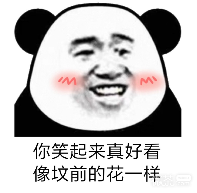 搞笑带字的微信斗图怼人熊猫头表情包为您奉上,喜欢的朋友快下载